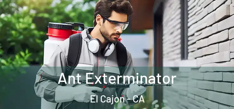 Ant Exterminator El Cajon - CA