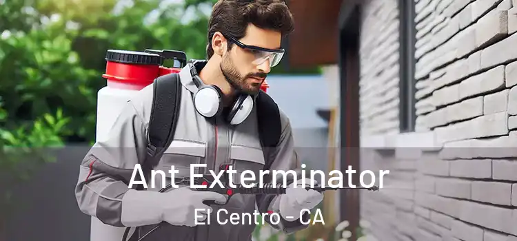 Ant Exterminator El Centro - CA