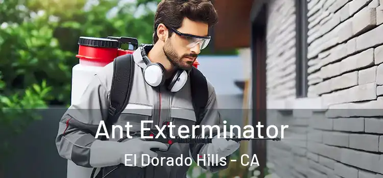 Ant Exterminator El Dorado Hills - CA