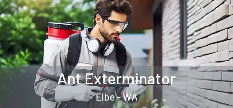  Ant Exterminator Elbe - WA