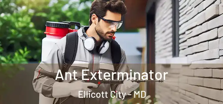  Ant Exterminator Ellicott City - MD