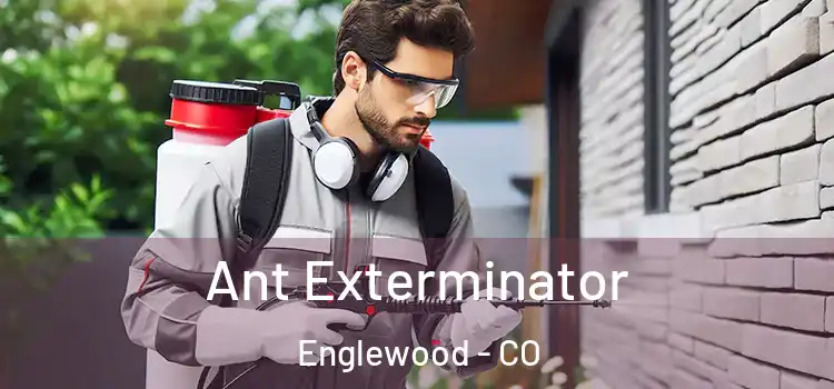 Ant Exterminator Englewood - CO