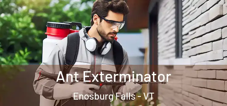  Ant Exterminator Enosburg Falls - VT