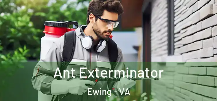 Ant Exterminator Ewing - VA