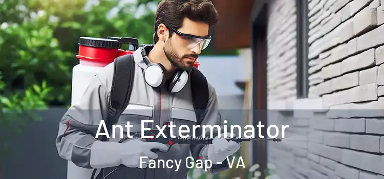 Ant Exterminator Fancy Gap - VA