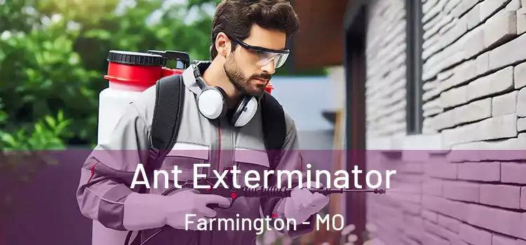  Ant Exterminator Farmington - MO