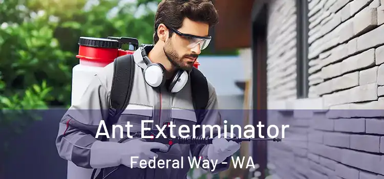  Ant Exterminator Federal Way - WA