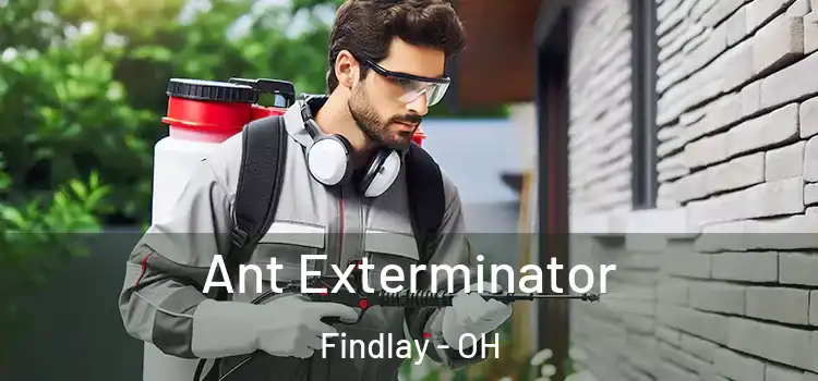 Ant Exterminator Findlay - OH