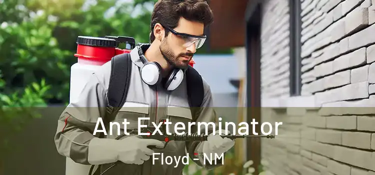 Ant Exterminator Floyd - NM