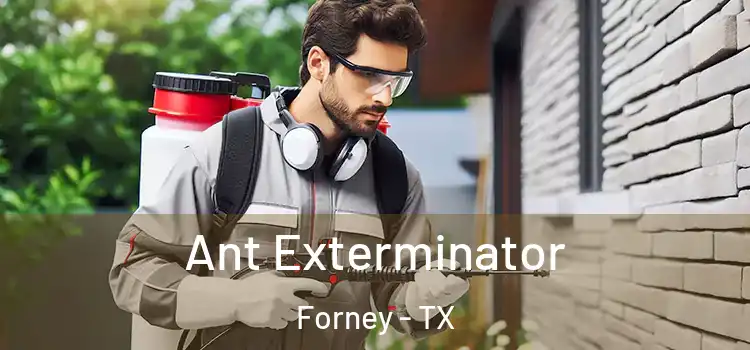 Ant Exterminator Forney - TX