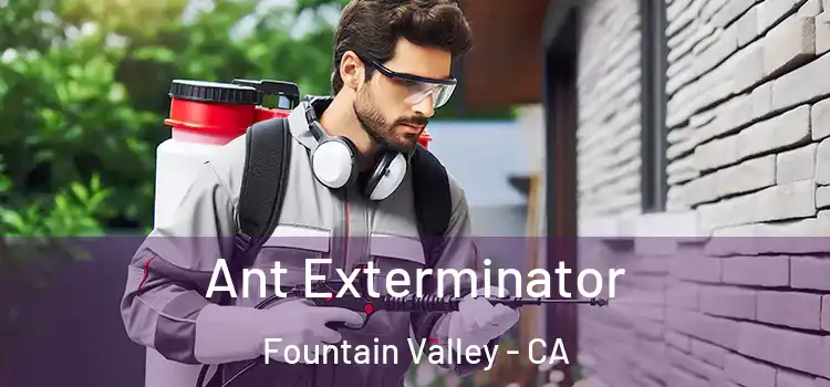 Ant Exterminator Fountain Valley - CA