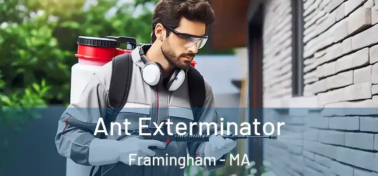  Ant Exterminator Framingham - MA