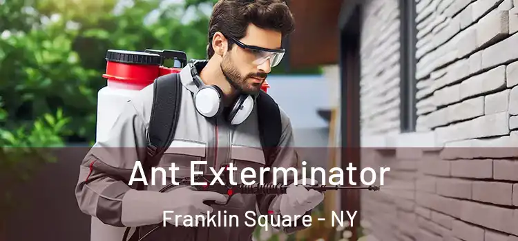  Ant Exterminator Franklin Square - NY