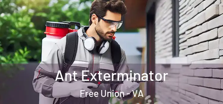 Ant Exterminator Free Union - VA