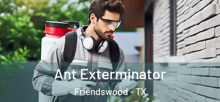 Ant Exterminator Friendswood - TX