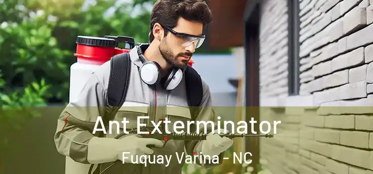 Ant Exterminator Fuquay Varina - NC