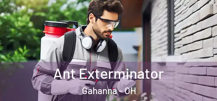 Ant Exterminator Gahanna - OH