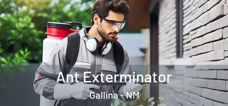Ant Exterminator Gallina - NM