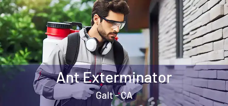  Ant Exterminator Galt - CA