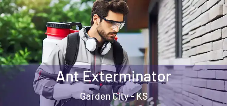  Ant Exterminator Garden City - KS