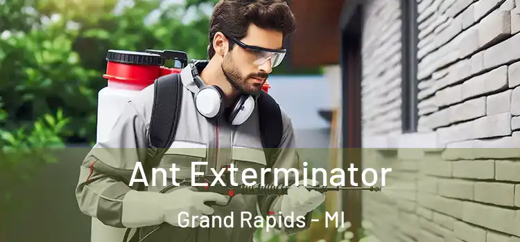  Ant Exterminator Grand Rapids - MI