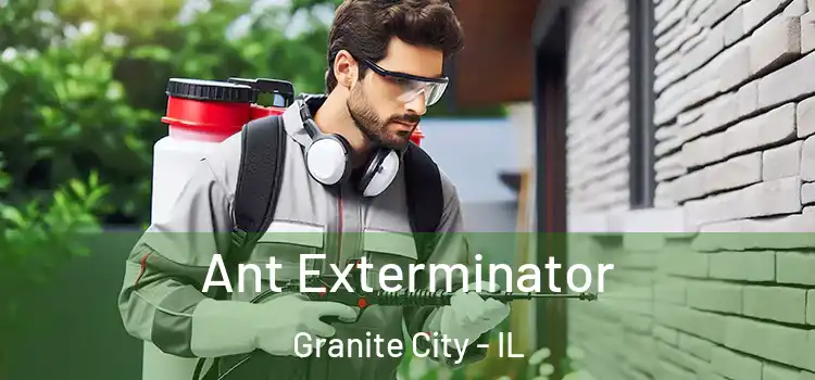  Ant Exterminator Granite City - IL