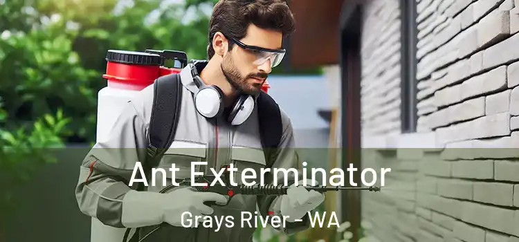  Ant Exterminator Grays River - WA
