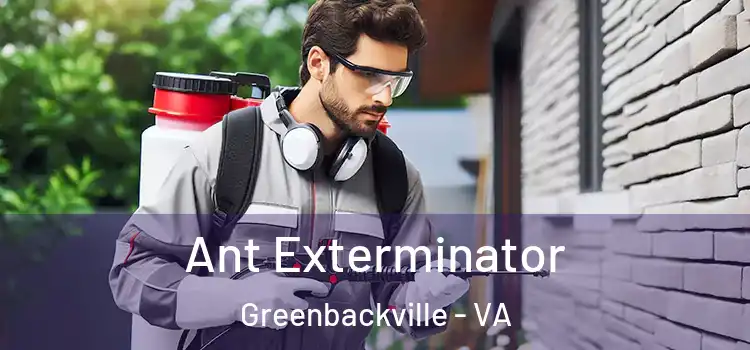 Ant Exterminator Greenbackville - VA