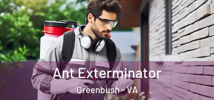 Ant Exterminator Greenbush - VA