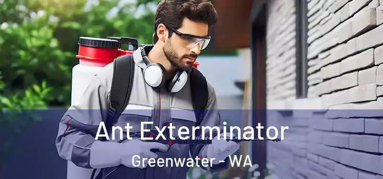  Ant Exterminator Greenwater - WA