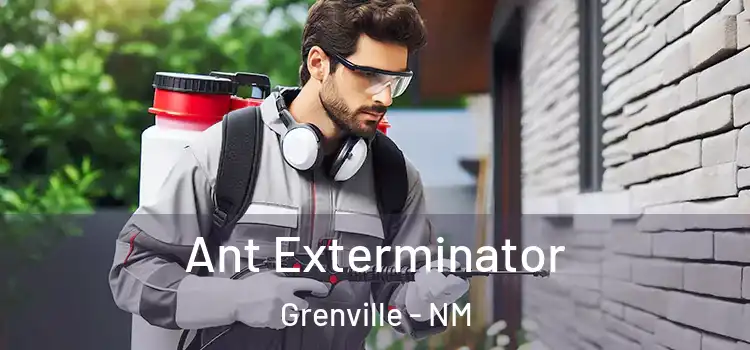 Ant Exterminator Grenville - NM