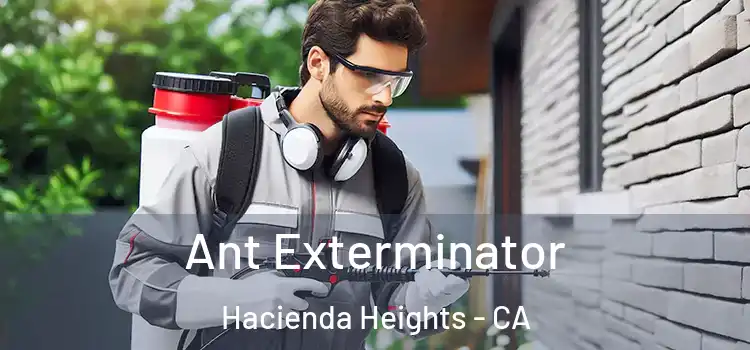 Ant Exterminator Hacienda Heights - CA