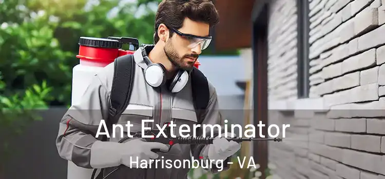 Ant Exterminator Harrisonburg - VA