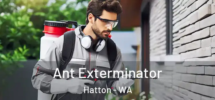  Ant Exterminator Hatton - WA