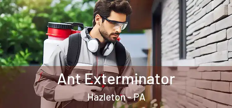 Ant Exterminator Hazleton - PA