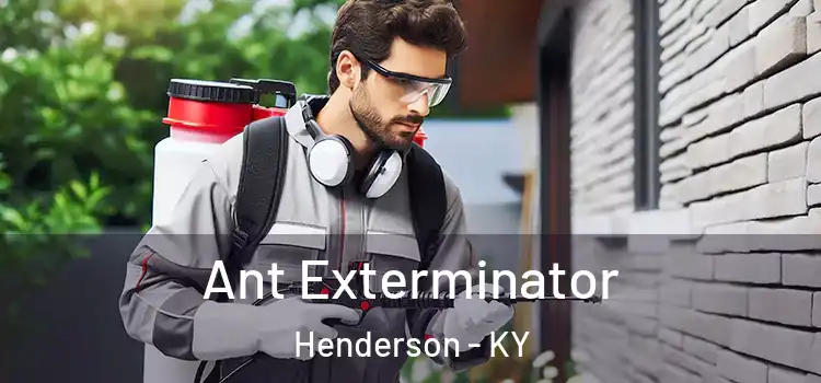  Ant Exterminator Henderson - KY