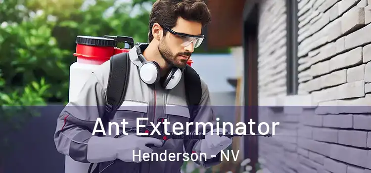  Ant Exterminator Henderson - NV