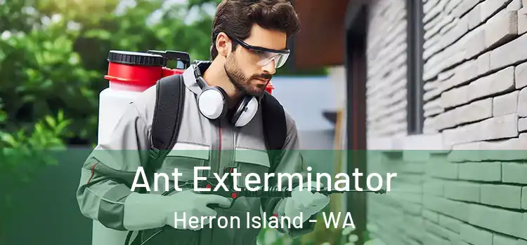  Ant Exterminator Herron Island - WA