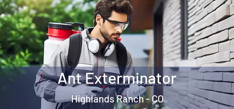  Ant Exterminator Highlands Ranch - CO
