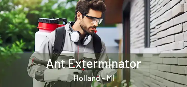  Ant Exterminator Holland - MI
