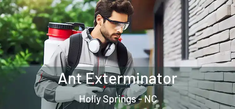 Ant Exterminator Holly Springs - NC
