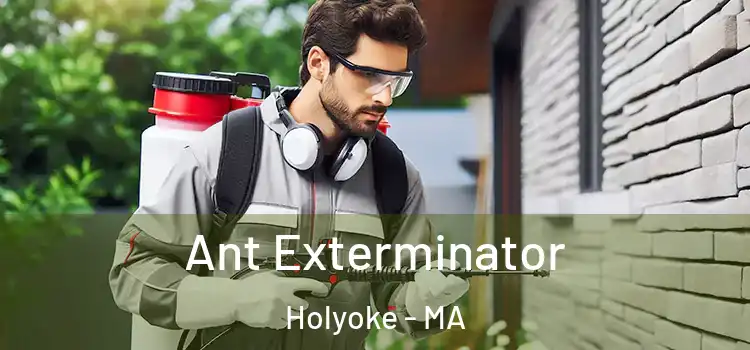  Ant Exterminator Holyoke - MA