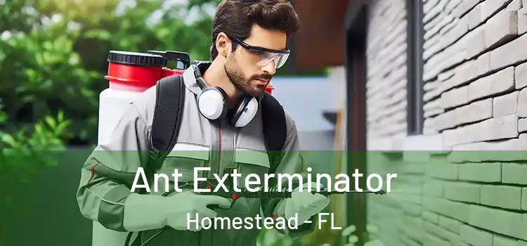 Ant Exterminator Homestead - FL