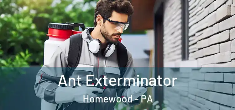 Ant Exterminator Homewood - PA