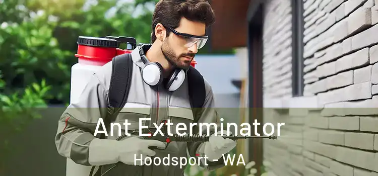  Ant Exterminator Hoodsport - WA