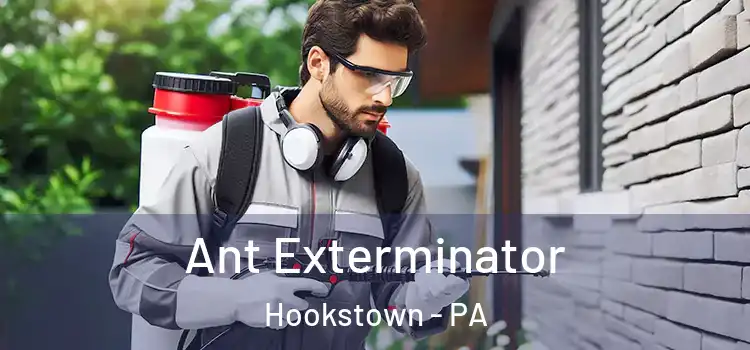 Ant Exterminator Hookstown - PA