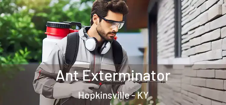  Ant Exterminator Hopkinsville - KY