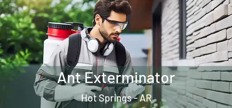  Ant Exterminator Hot Springs - AR