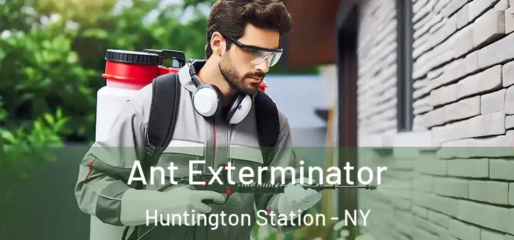  Ant Exterminator Huntington Station - NY