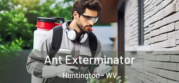  Ant Exterminator Huntington - WV